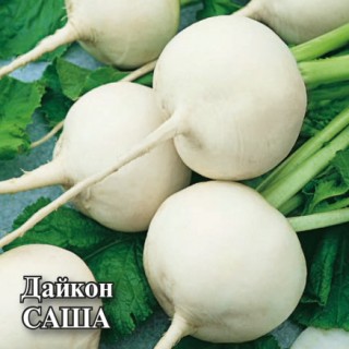 img-1: Дайкон Саша - ООО «Семена Тут»