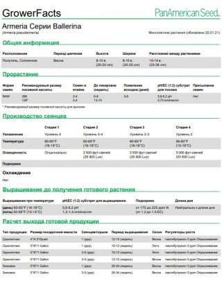 img-1: Армерия Балерина Лилак [1000 шт] - ООО «Семена Тут»