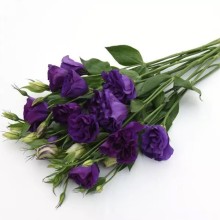 img-2: Эустома АБС 3 Пурпл [100 драже]* - ООО «Семена Тут»