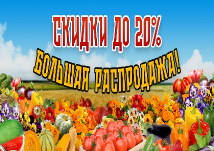 Большая распродажа!